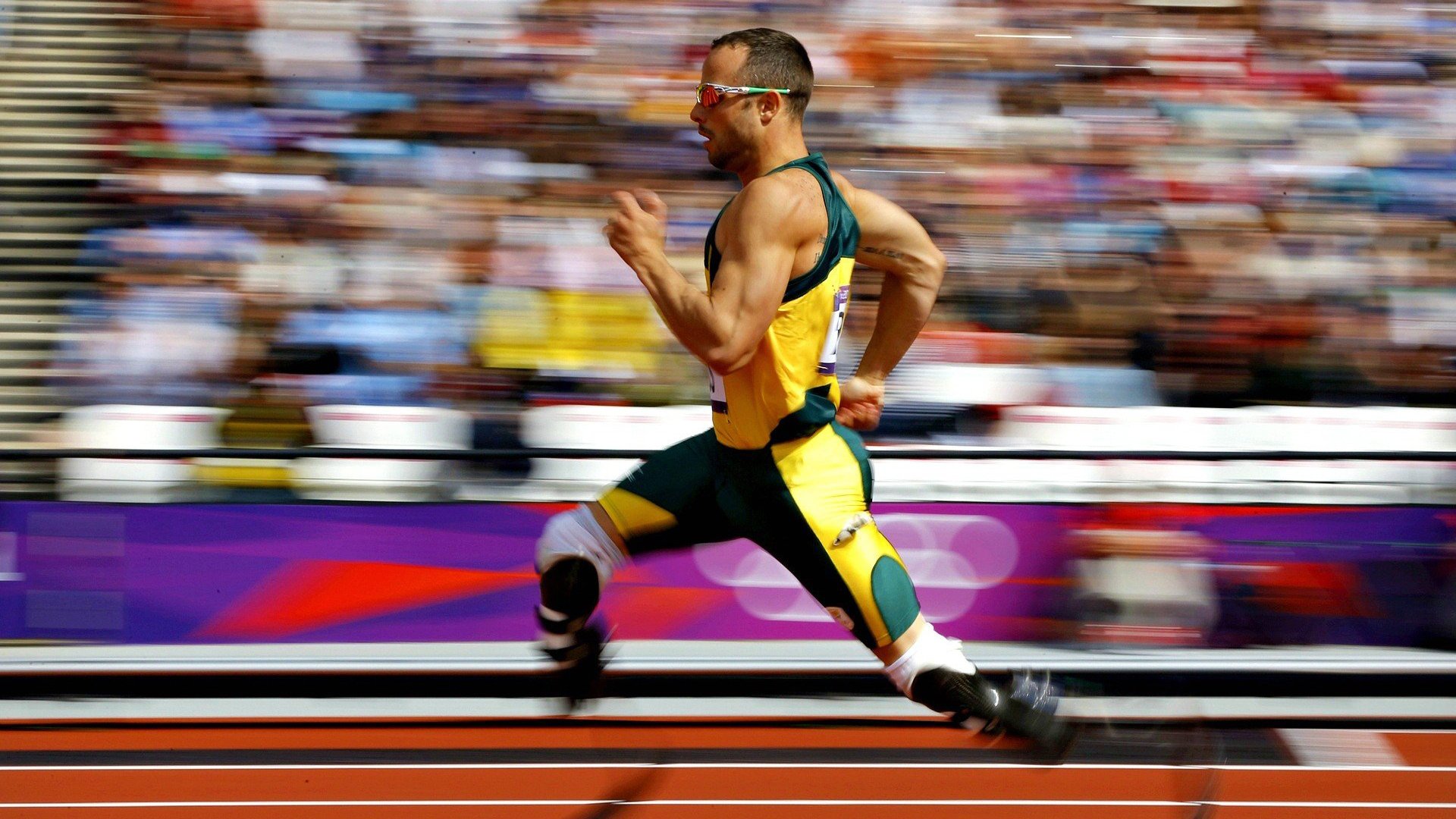 体育产业迎来新机遇,政策支持与市场潜力双轮驱动